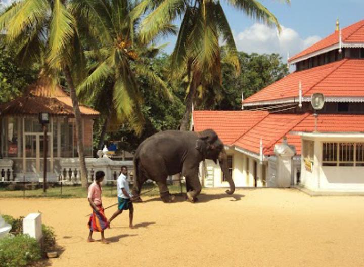 Mutu Villa Dickwella Exterior photo